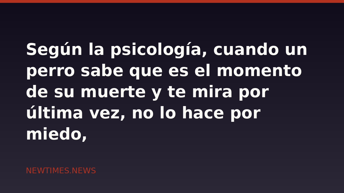 Según la psicología, cuando un perro sabe que es el momento de su muerte y te mira por última vez, no lo hace por miedo, es por que quería memorizar tu rostro