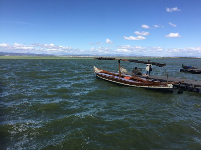 Vista del lago de l'Albufera, en Valencia