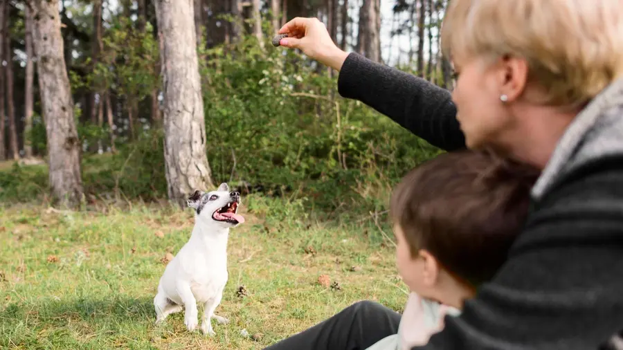 César Millán, adiestrador canino: «La disciplina no se trata de mostrarle a un perro quién manda, sino de responsabilizarte de una criatura que has traído a tu mundo»
