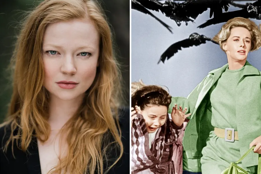 ‘The Birds’ Reboot: Sarah Snook to Lead HBO Series Take on Hitchcock Classic